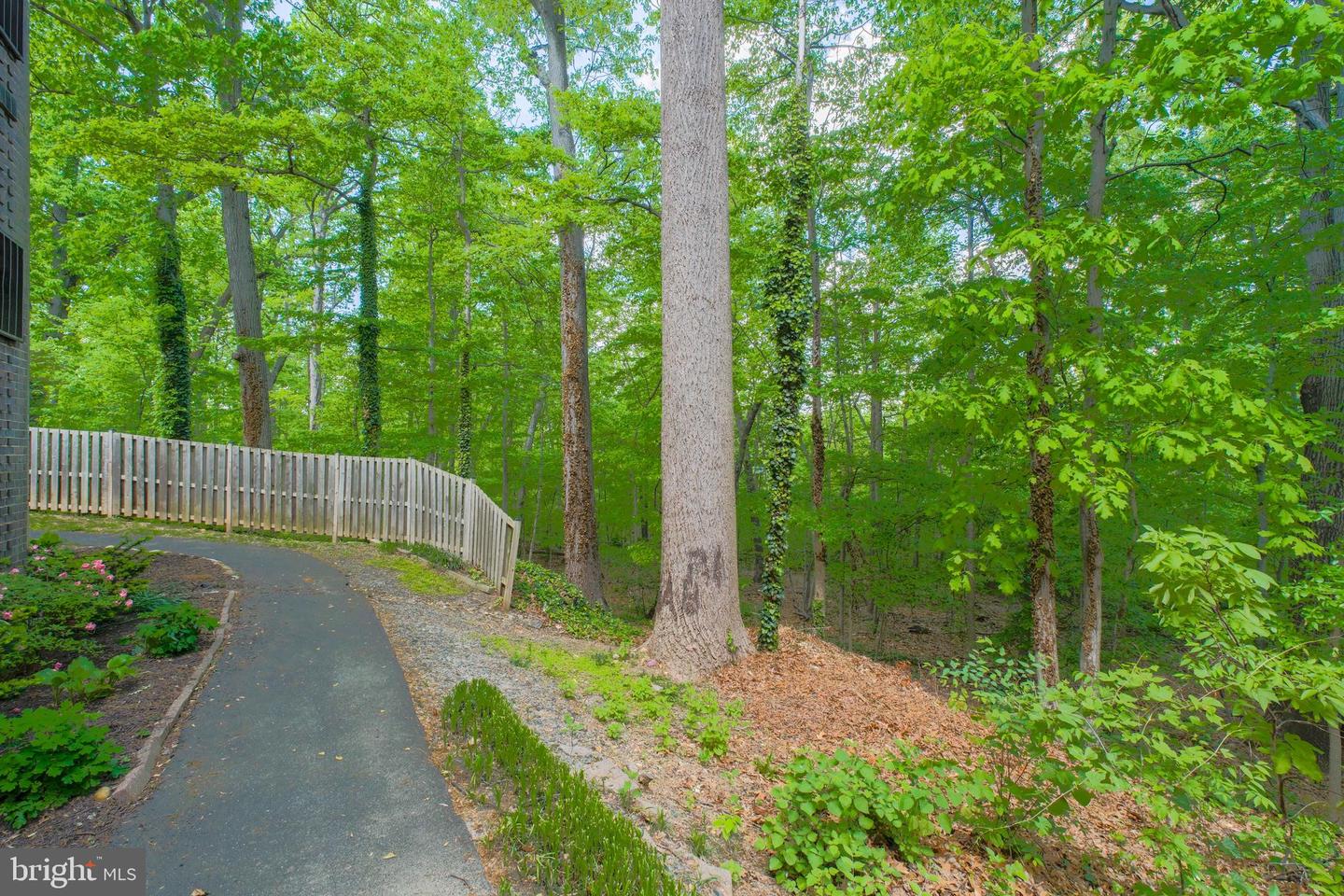 5065 7TH RD S #202, ARLINGTON, Virginia 22204, 3 Bedrooms Bedrooms, ,2 BathroomsBathrooms,Residential,For sale,5065 7TH RD S #202,VAAR2056884 MLS # VAAR2056884