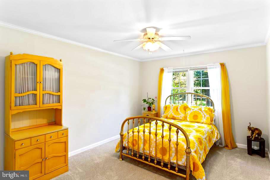 10728 ZION DR, FAIRFAX, Virginia 22032, 5 Bedrooms Bedrooms, ,3 BathroomsBathrooms,Residential,For sale,10728 ZION DR,VAFX2238150 MLS # VAFX2238150