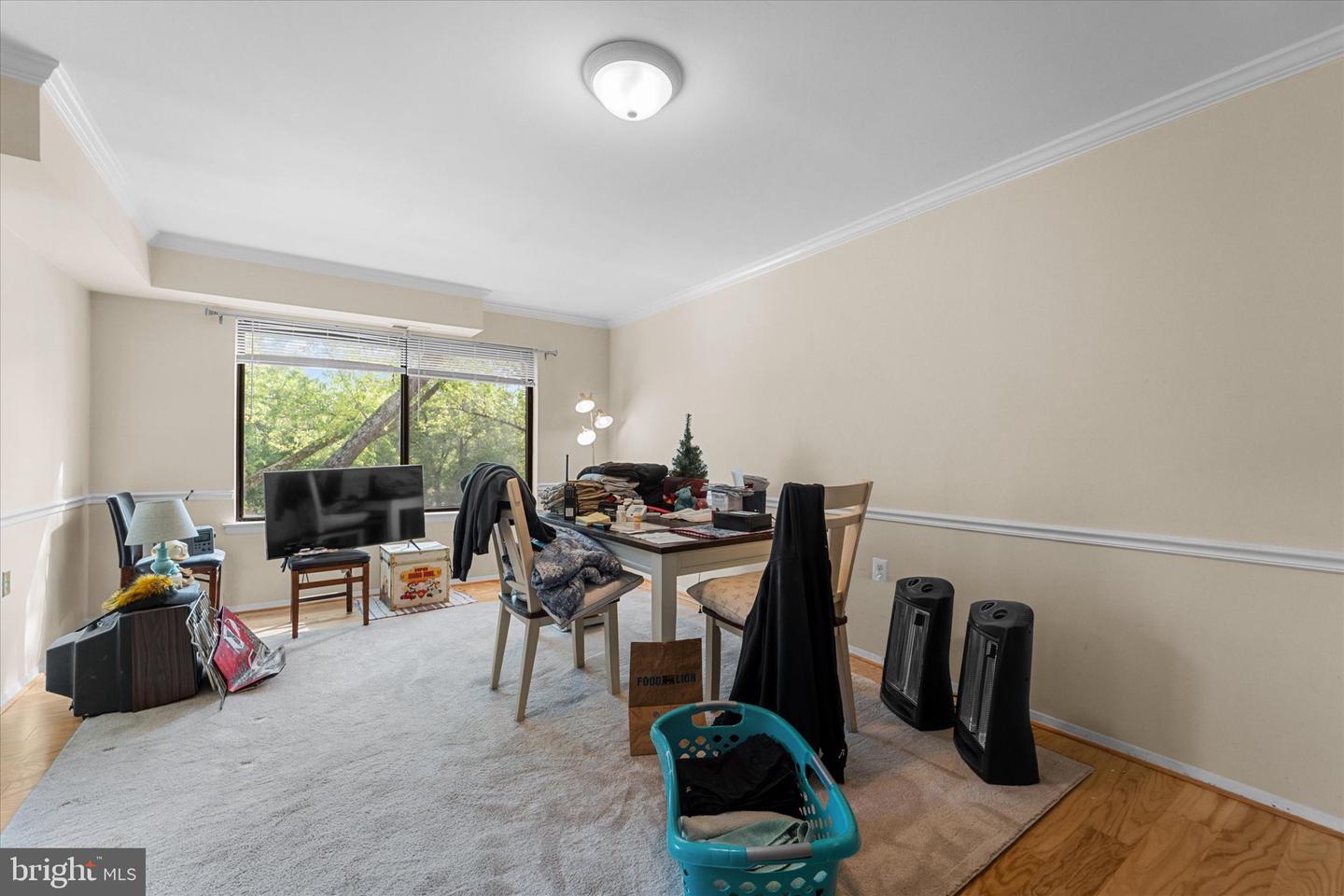 125-K CLUBHOUSE DR SW #11, LEESBURG, Virginia 20175, 1 Bedroom Bedrooms, ,1 BathroomBathrooms,Residential,For sale,125-K CLUBHOUSE DR SW #11,VALO2095408 MLS # VALO2095408