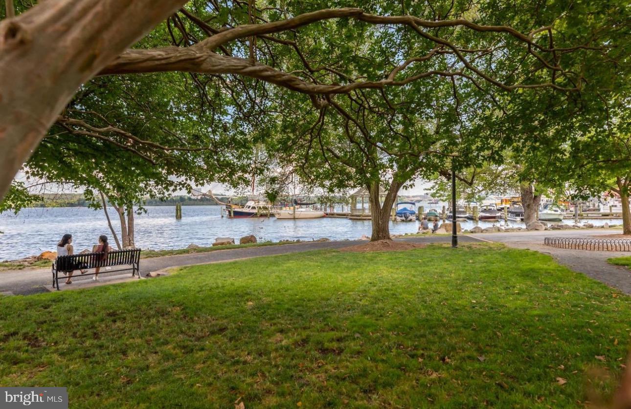625 SLATERS LN #204, ALEXANDRIA, Virginia 22314, 3 Bedrooms Bedrooms, ,2 BathroomsBathrooms,Residential,For sale,625 SLATERS LN #204,VAAX2044854 MLS # VAAX2044854
