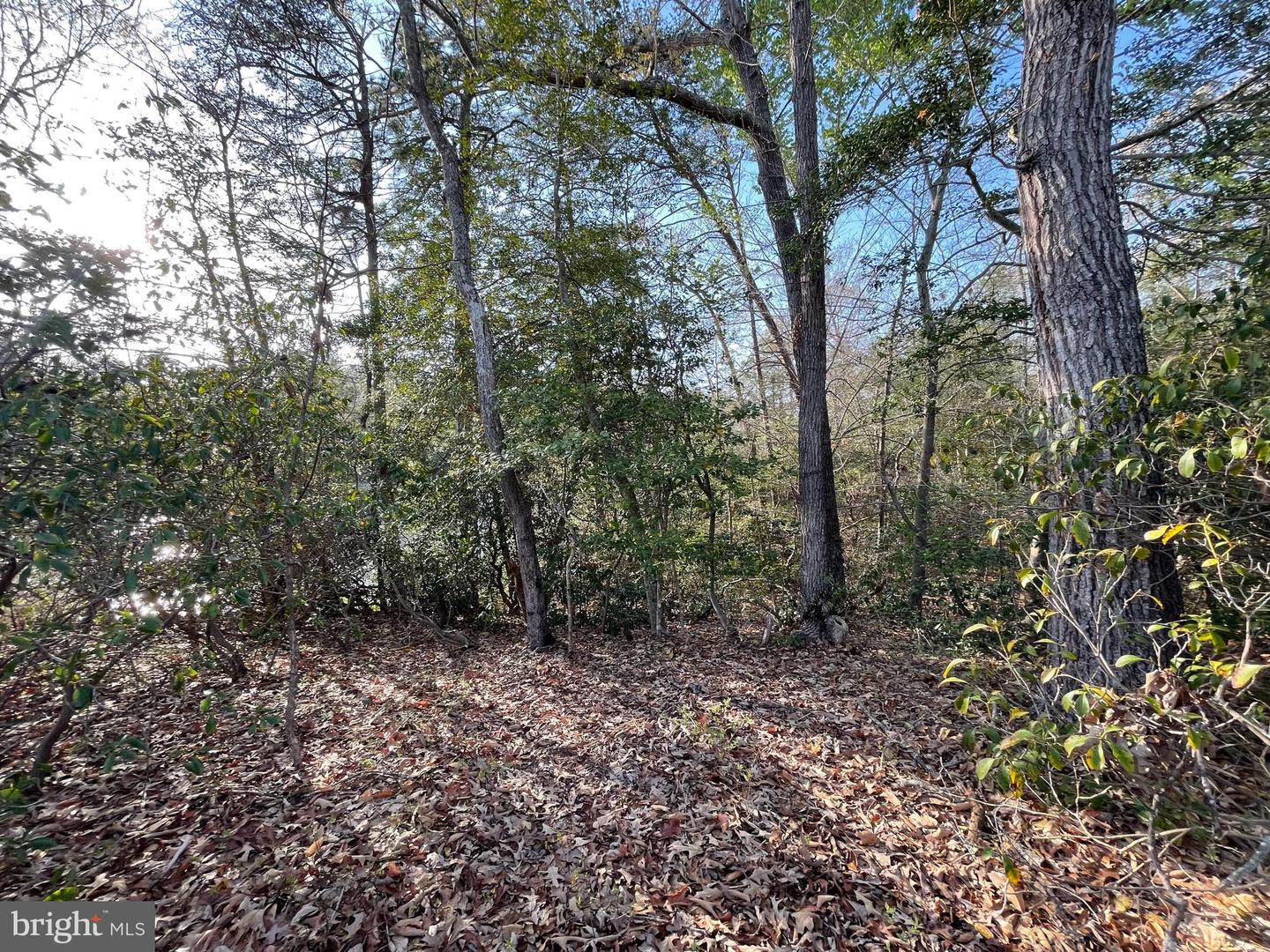 237 FLATS LANE, LANCASTER, Virginia 22503, ,Residential,For sale,237 FLATS LANE,VALV2000790 MLS # VALV2000790