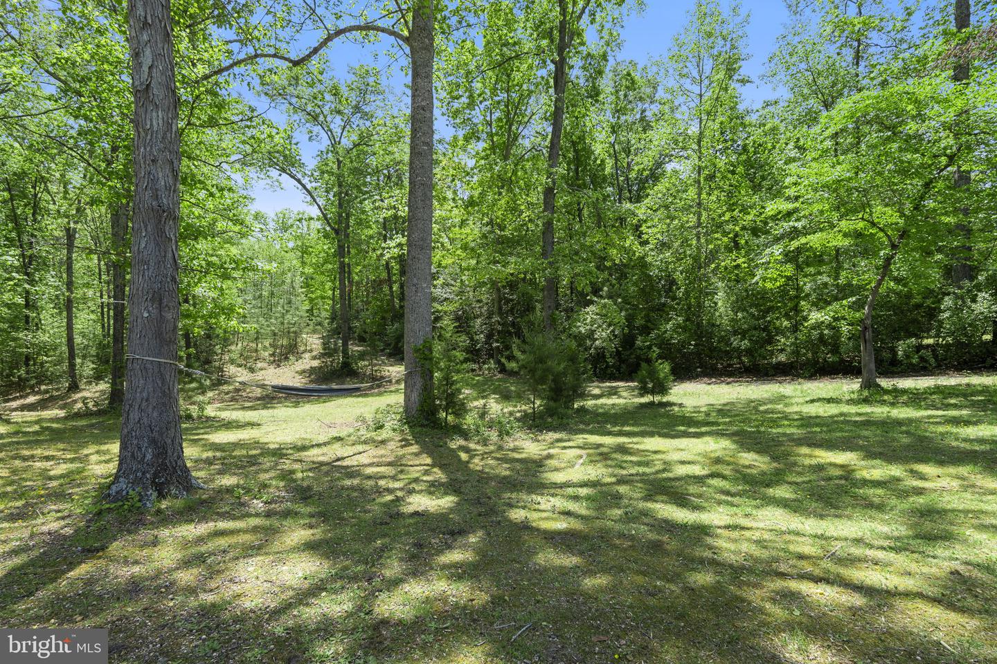 13789 FARMER DR, WOODFORD, Virginia 22580, 3 Bedrooms Bedrooms, ,2 BathroomsBathrooms,Residential,For sale,13789 FARMER DR,VACV2008096 MLS # VACV2008096