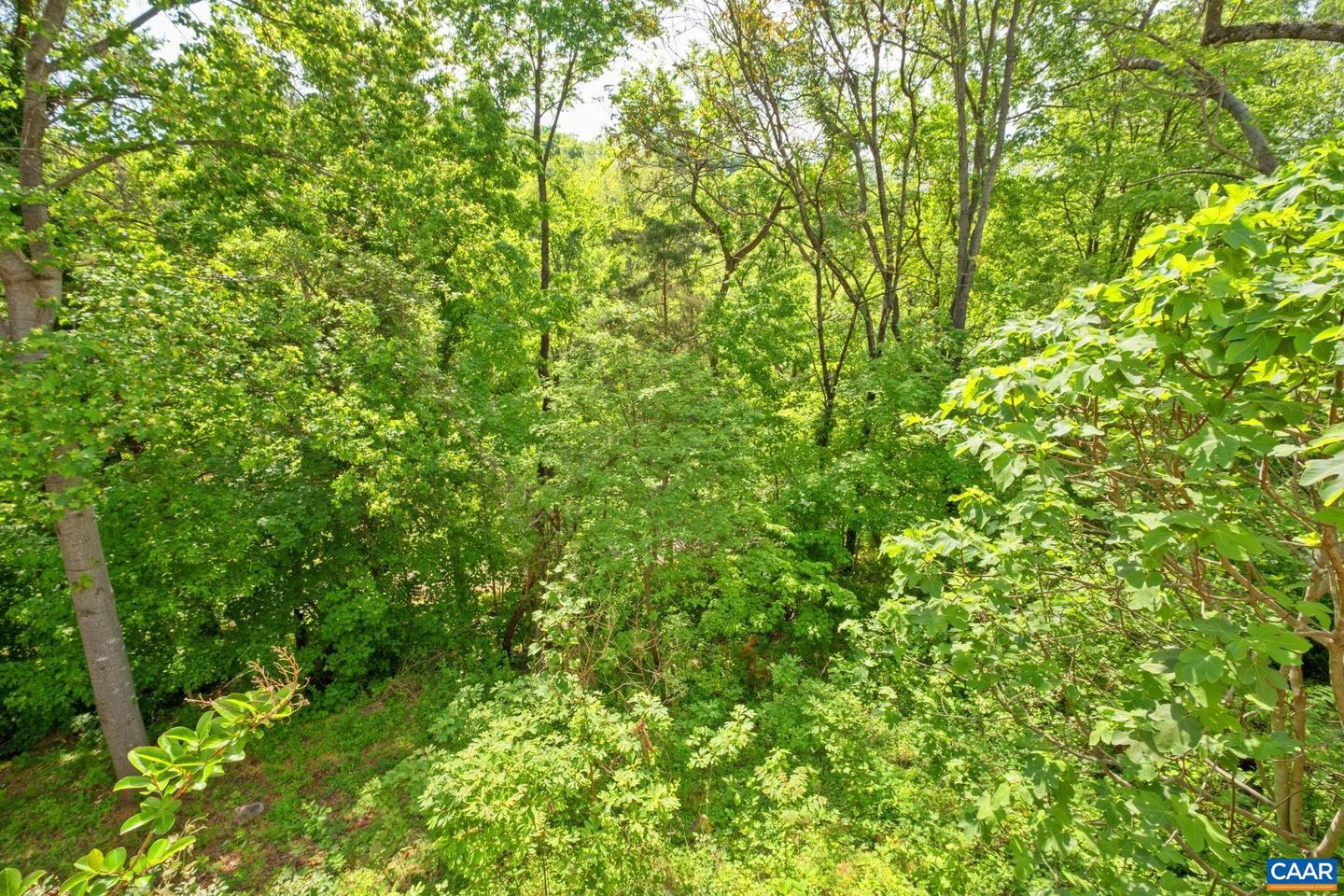 326 RIVERSIDE AVE, CHARLOTTESVILLE, Virginia 22902, 3 Bedrooms Bedrooms, ,3 BathroomsBathrooms,Residential,For sale,326 RIVERSIDE AVE,664006 MLS # 664006