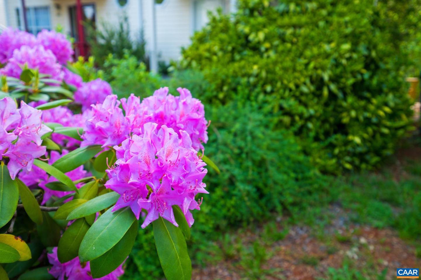 326 RIVERSIDE AVE, CHARLOTTESVILLE, Virginia 22902, 3 Bedrooms Bedrooms, ,3 BathroomsBathrooms,Residential,For sale,326 RIVERSIDE AVE,664006 MLS # 664006
