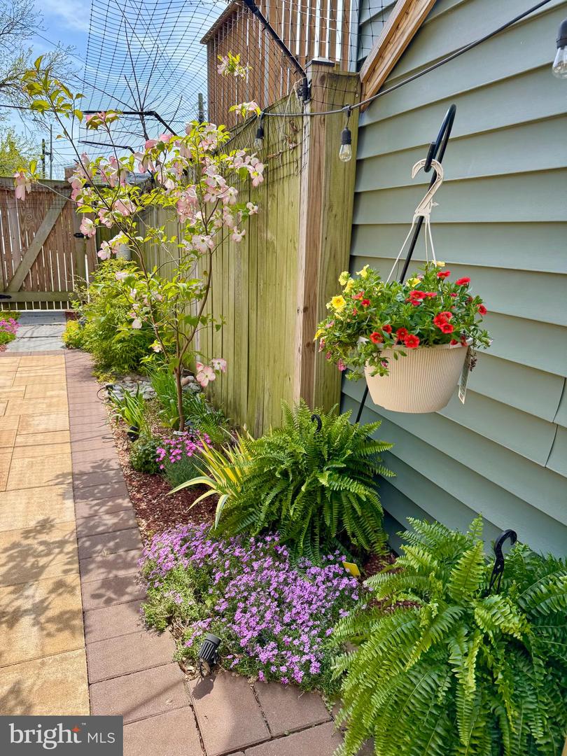 728 FARRAGUT ST NW, WASHINGTON, District Of Columbia 20011, 4 Bedrooms Bedrooms, ,3 BathroomsBathrooms,Residential,For sale,728 FARRAGUT ST NW,DCDC2196532 MLS # DCDC2196532