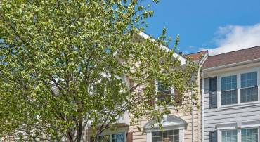 46878 GRAHAM COVE, STERLING, Virginia 20165, 4 Bedrooms Bedrooms, ,3 BathroomsBathrooms,Residential,For sale,46878 GRAHAM COVE,VALO2094682 MLS # VALO2094682