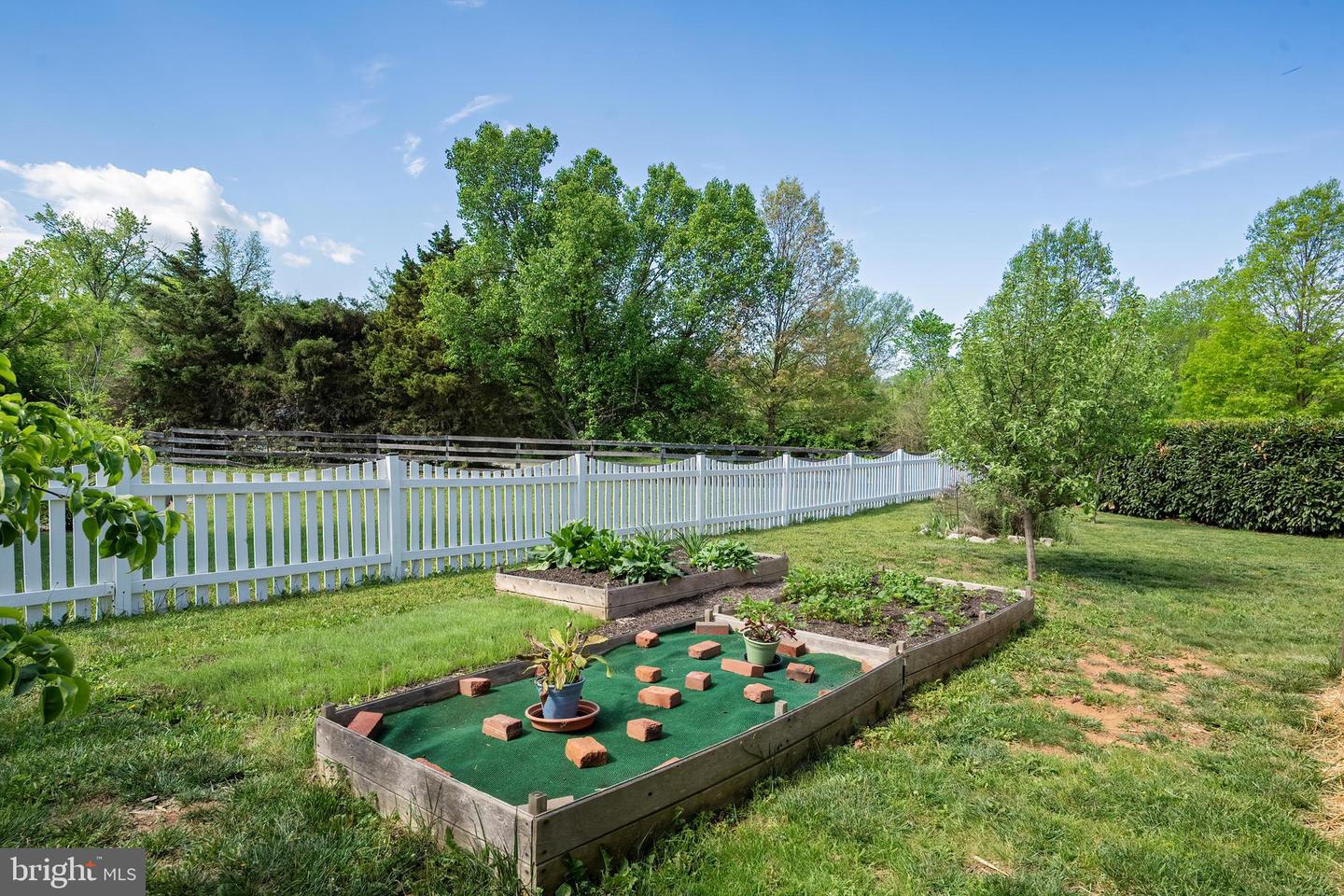 209 JOLLIFFE CIR, BOYCE, Virginia 22620, 5 Bedrooms Bedrooms, ,3 BathroomsBathrooms,Residential,For sale,209 JOLLIFFE CIR,VACL2003614 MLS # VACL2003614