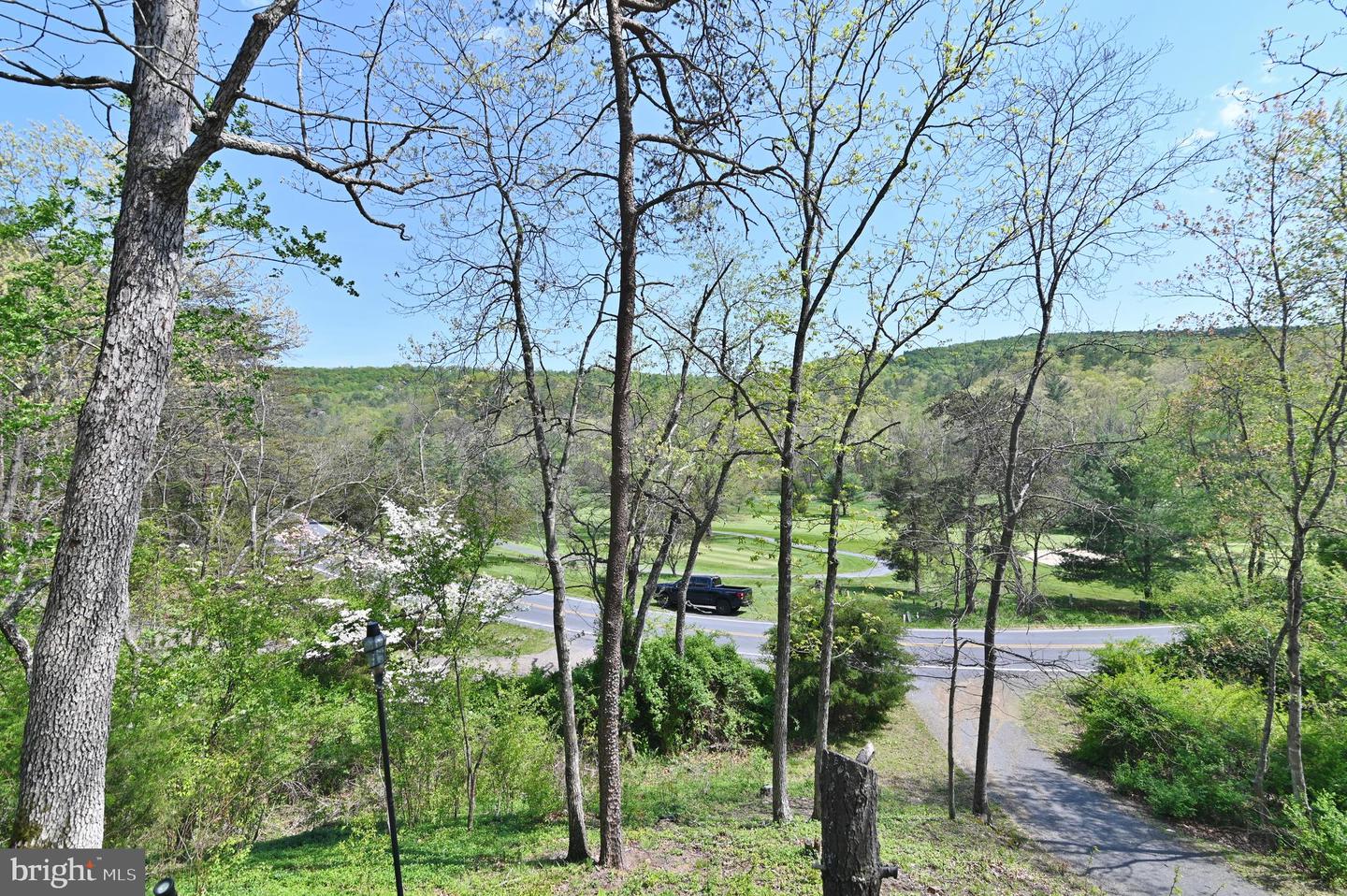 343 RESORT DR, BASYE, Virginia 22810, 3 Bedrooms Bedrooms, ,2 BathroomsBathrooms,Residential,For sale,343 RESORT DR,VASH2011262 MLS # VASH2011262