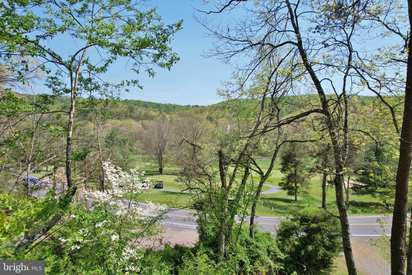 343 RESORT DR, BASYE, Virginia 22810, 3 Bedrooms Bedrooms, ,2 BathroomsBathrooms,Residential,For sale,343 RESORT DR,VASH2011262 MLS # VASH2011262