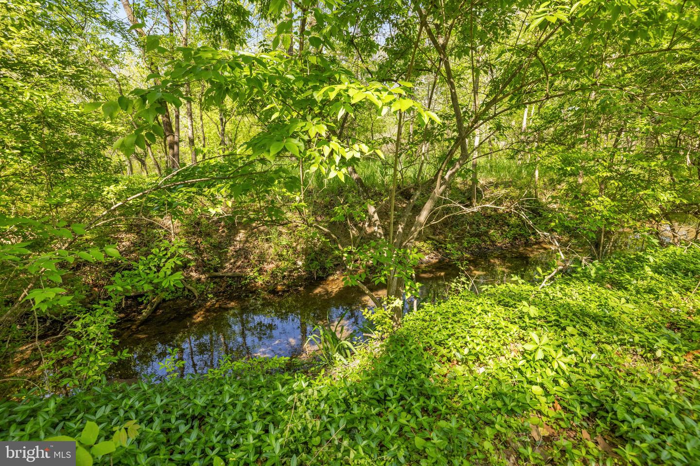 1974 MILLWOOD RD, BOYCE, Virginia 22620, 2 Bedrooms Bedrooms, ,1 BathroomBathrooms,Residential,For sale,1974 MILLWOOD RD,VACL2003626 MLS # VACL2003626