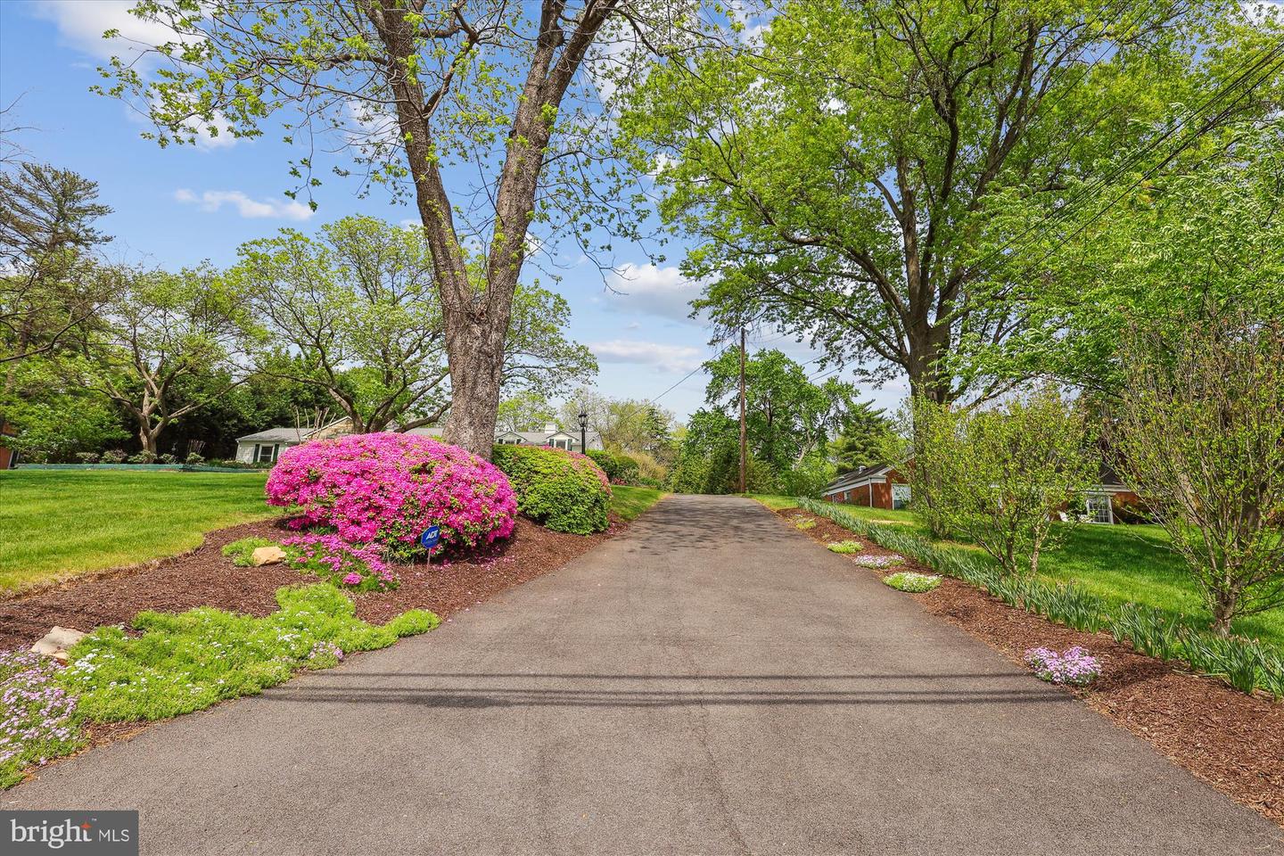 6516 ELMDALE RD, ALEXANDRIA, Virginia 22312, 5 Bedrooms Bedrooms, ,3 BathroomsBathrooms,Residential,For sale,6516 ELMDALE RD,VAFX2236676 MLS # VAFX2236676