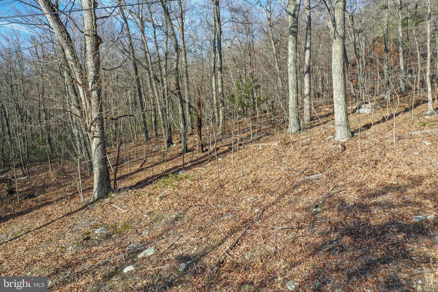0 CARDINAL DR, LURAY, Virginia 22835, ,Land,For sale,0 CARDINAL DR,VAPA2004866 MLS # VAPA2004866