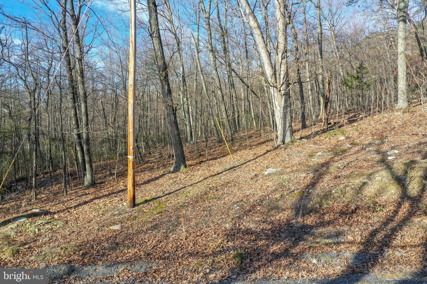 0 CARDINAL DR, LURAY, Virginia 22835, ,Land,For sale,0 CARDINAL DR,VAPA2004866 MLS # VAPA2004866