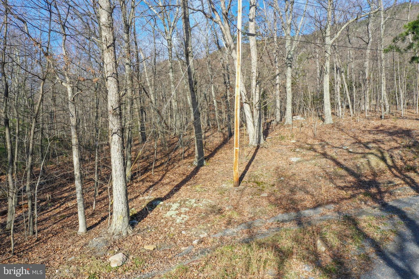 0 CARDINAL DR, LURAY, Virginia 22835, ,Land,For sale,0 CARDINAL DR,VAPA2004866 MLS # VAPA2004866