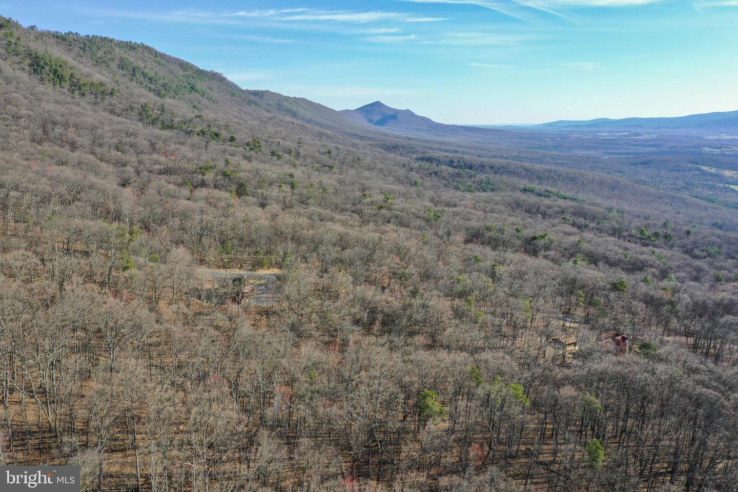 0 CARDINAL DR, LURAY, Virginia 22835, ,Land,For sale,0 CARDINAL DR,VAPA2004866 MLS # VAPA2004866