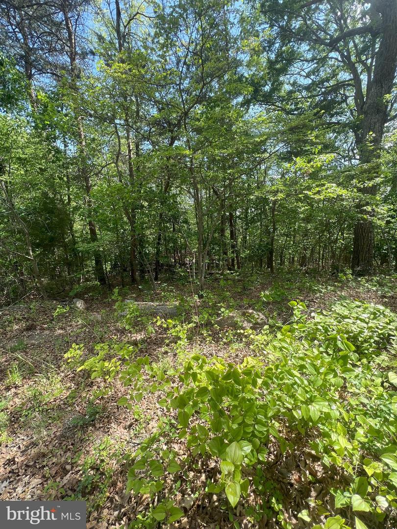 427 LONG VIEW DR, LURAY, Virginia 22835, ,Land,For sale,427 LONG VIEW DR,VAPA2004868 MLS # VAPA2004868