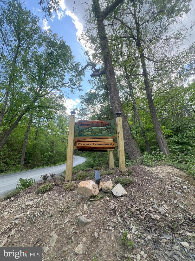 427 LONG VIEW DR, LURAY, Virginia 22835, ,Land,For sale,427 LONG VIEW DR,VAPA2004868 MLS # VAPA2004868