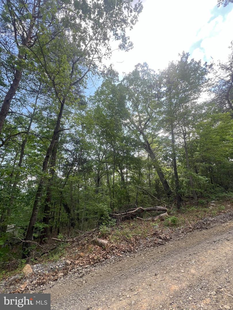 427 LONG VIEW DR, LURAY, Virginia 22835, ,Land,For sale,427 LONG VIEW DR,VAPA2004868 MLS # VAPA2004868