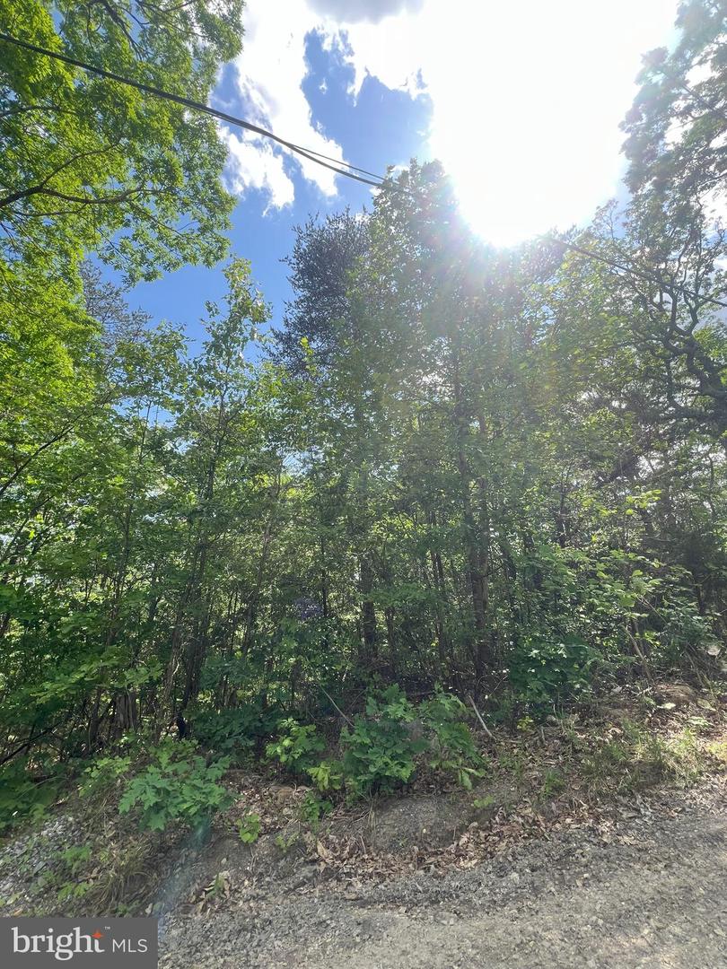 427 LONG VIEW DR, LURAY, Virginia 22835, ,Land,For sale,427 LONG VIEW DR,VAPA2004868 MLS # VAPA2004868