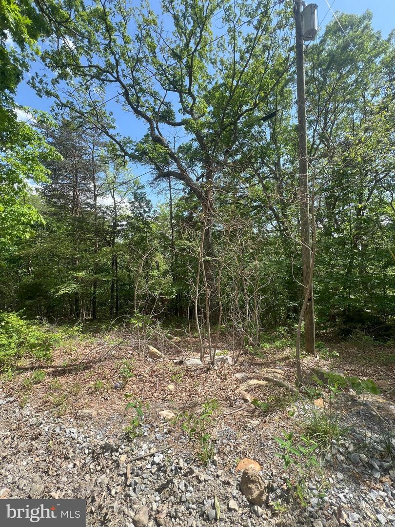427 LONG VIEW DR, LURAY, Virginia 22835, ,Land,For sale,427 LONG VIEW DR,VAPA2004868 MLS # VAPA2004868