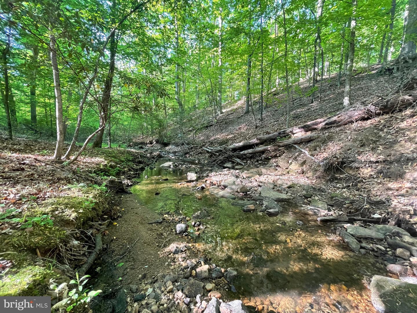 LOT 3 DEER MOUNTAIN RD, FREDERICKSBURG, Virginia 22407, ,Land,For sale,LOT 3 DEER MOUNTAIN RD,VASP2032820 MLS # VASP2032820