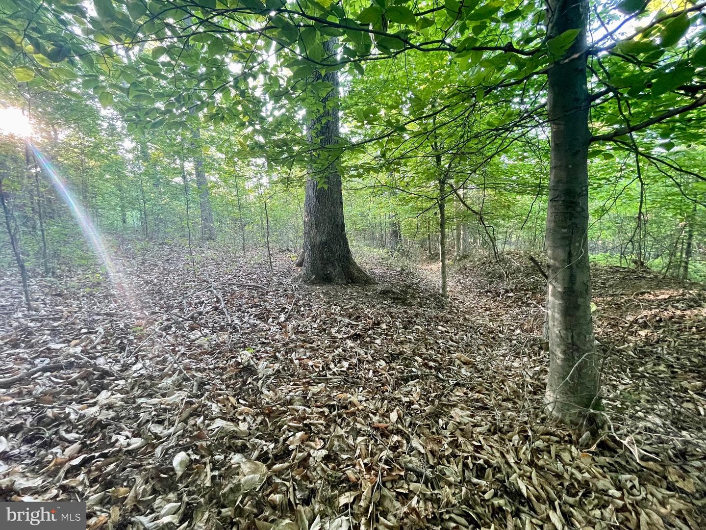 LOT 3 DEER MOUNTAIN RD, FREDERICKSBURG, Virginia 22407, ,Land,For sale,LOT 3 DEER MOUNTAIN RD,VASP2032820 MLS # VASP2032820