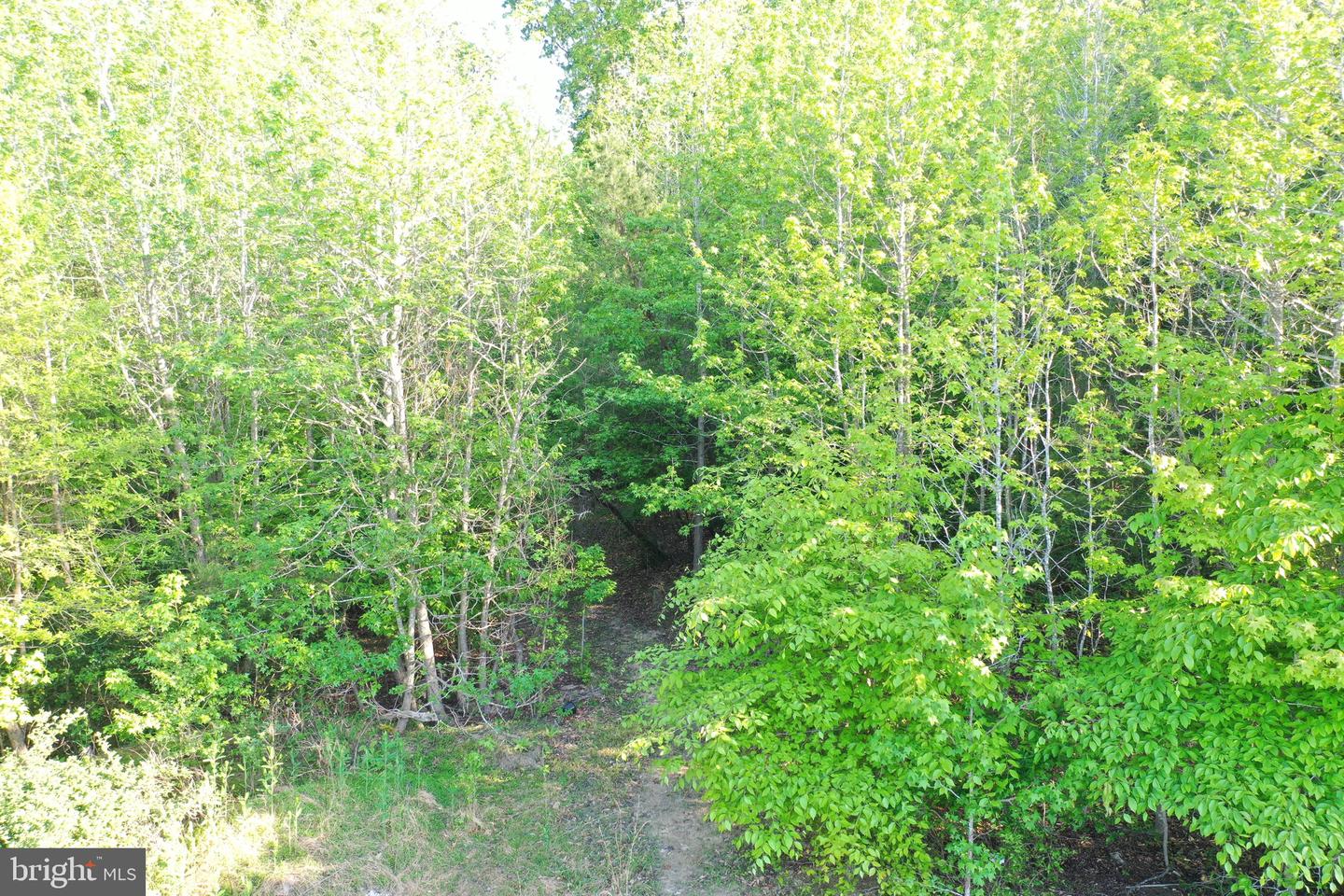LOT 3 DEER MOUNTAIN RD, FREDERICKSBURG, Virginia 22407, ,Land,For sale,LOT 3 DEER MOUNTAIN RD,VASP2032820 MLS # VASP2032820