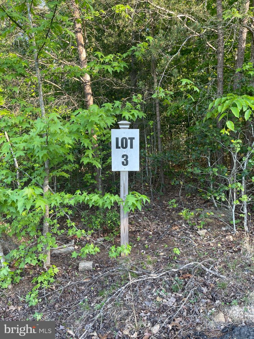 LOT 3 DEER MOUNTAIN RD, FREDERICKSBURG, Virginia 22407, ,Land,For sale,LOT 3 DEER MOUNTAIN RD,VASP2032820 MLS # VASP2032820