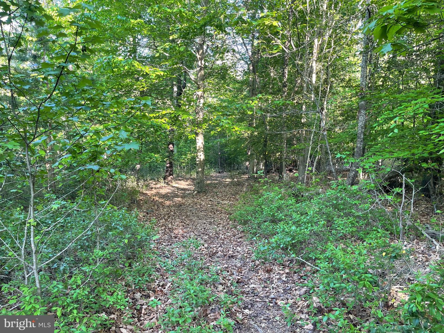 LOT 3 DEER MOUNTAIN RD, FREDERICKSBURG, Virginia 22407, ,Land,For sale,LOT 3 DEER MOUNTAIN RD,VASP2032820 MLS # VASP2032820