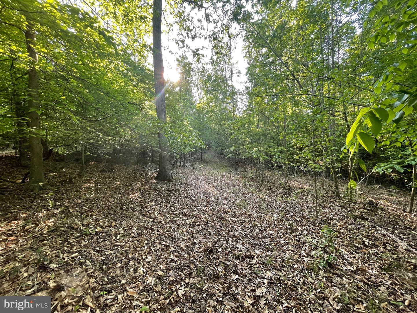 LOT 3 DEER MOUNTAIN RD, FREDERICKSBURG, Virginia 22407, ,Land,For sale,LOT 3 DEER MOUNTAIN RD,VASP2032820 MLS # VASP2032820