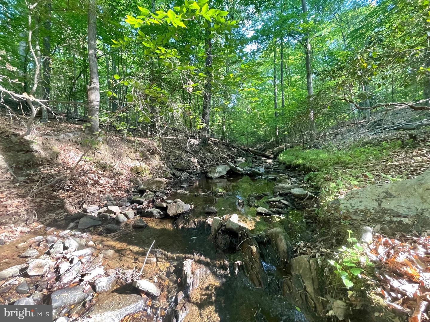 LOT 3 DEER MOUNTAIN RD, FREDERICKSBURG, Virginia 22407, ,Land,For sale,LOT 3 DEER MOUNTAIN RD,VASP2032820 MLS # VASP2032820