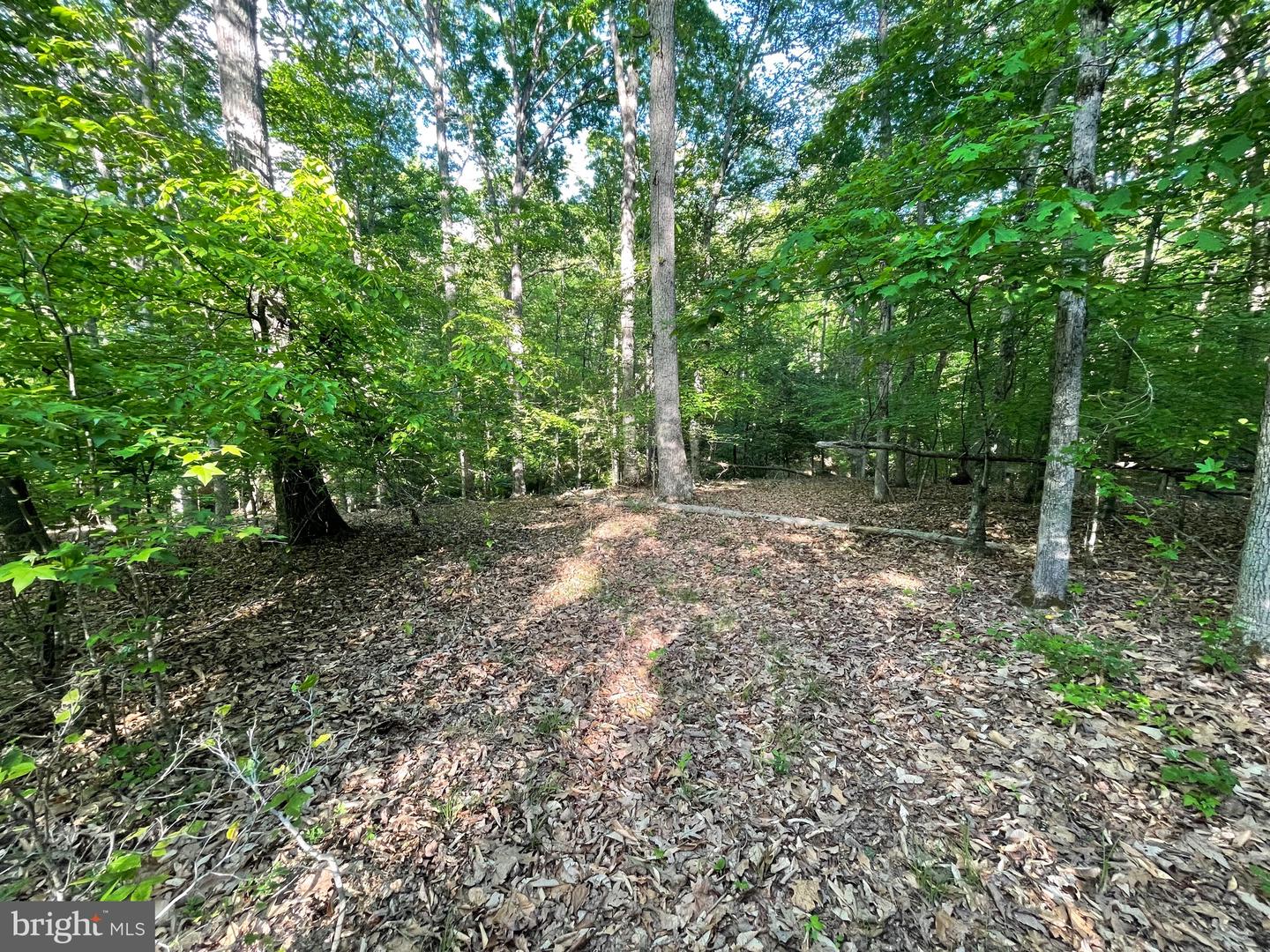 LOT 3 DEER MOUNTAIN RD, FREDERICKSBURG, Virginia 22407, ,Land,For sale,LOT 3 DEER MOUNTAIN RD,VASP2032820 MLS # VASP2032820