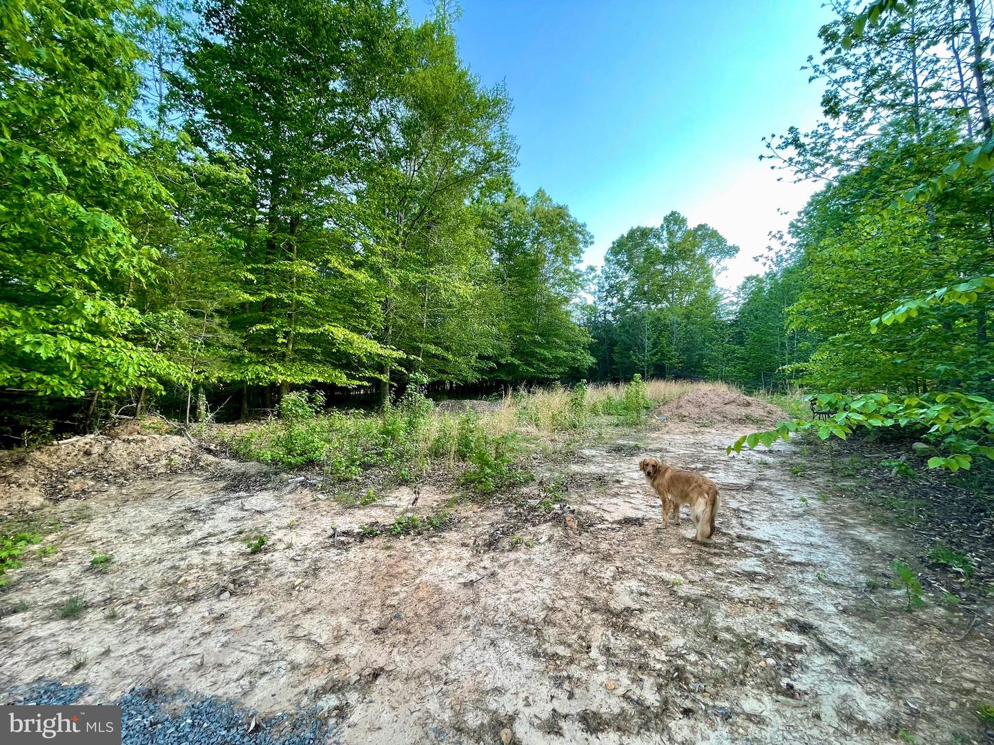 LOT 3 DEER MOUNTAIN RD, FREDERICKSBURG, Virginia 22407, ,Land,For sale,LOT 3 DEER MOUNTAIN RD,VASP2032820 MLS # VASP2032820