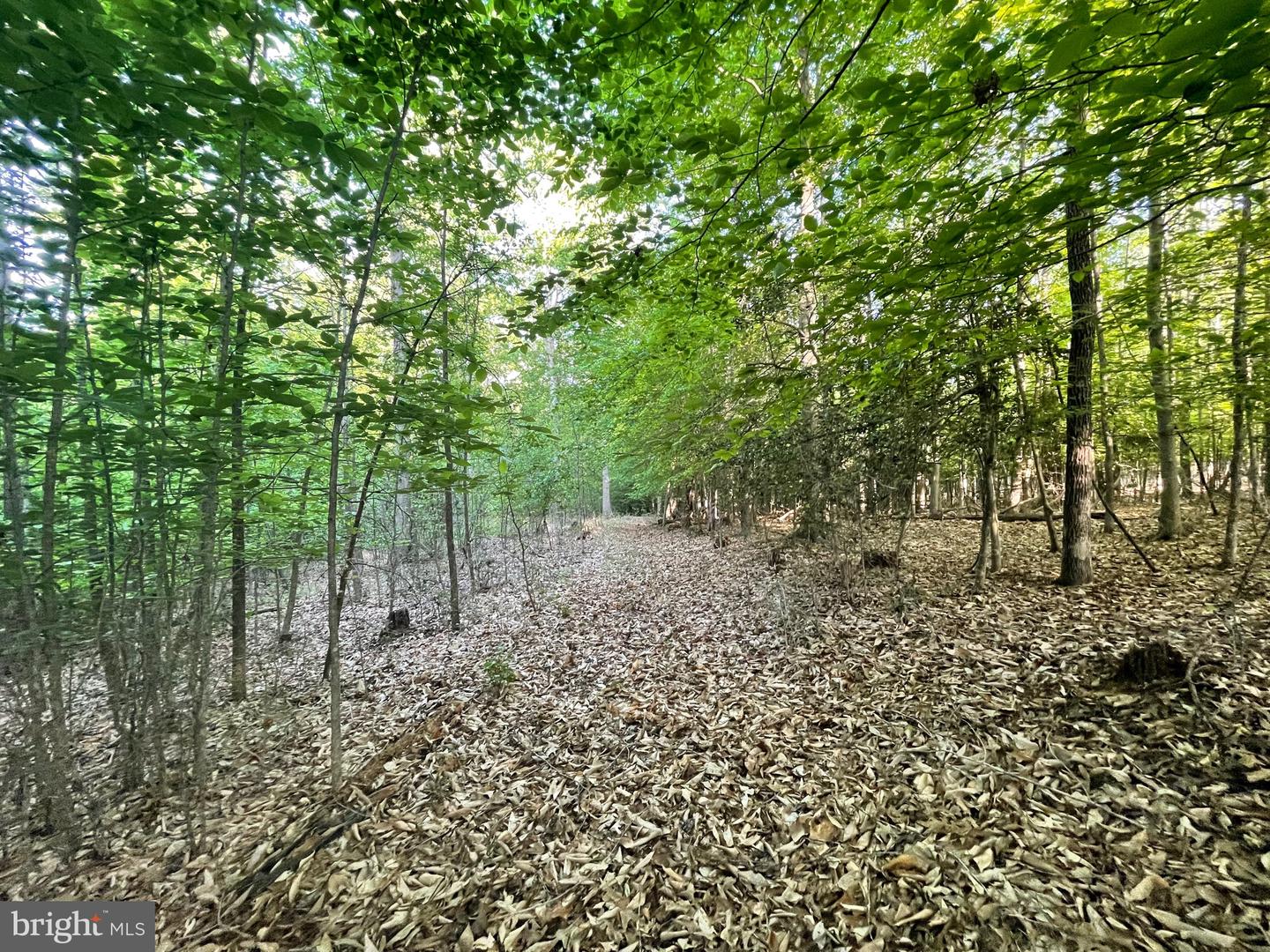 LOT 3 DEER MOUNTAIN RD, FREDERICKSBURG, Virginia 22407, ,Land,For sale,LOT 3 DEER MOUNTAIN RD,VASP2032820 MLS # VASP2032820