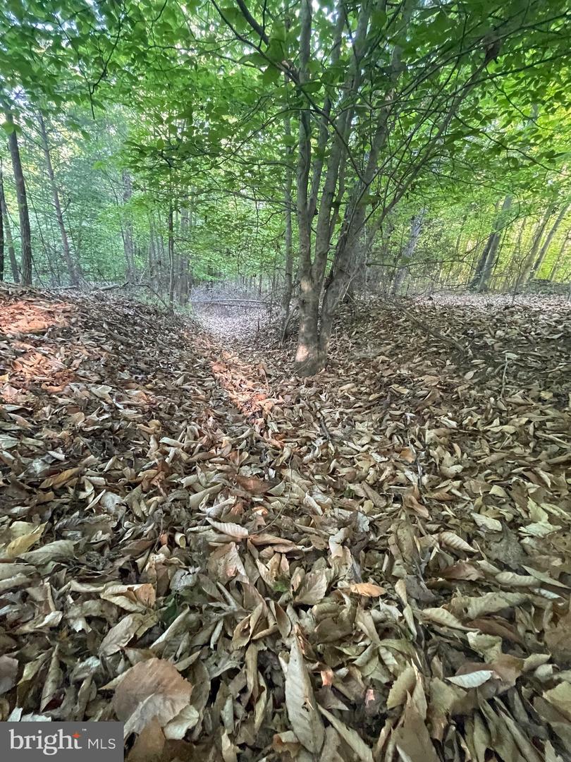LOT 3 DEER MOUNTAIN RD, FREDERICKSBURG, Virginia 22407, ,Land,For sale,LOT 3 DEER MOUNTAIN RD,VASP2032820 MLS # VASP2032820