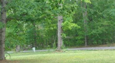 1623 RICHMOND HWY, AMHERST, Virginia 24521, ,Land,For sale,1623 RICHMOND HWY,664069 MLS # 664069