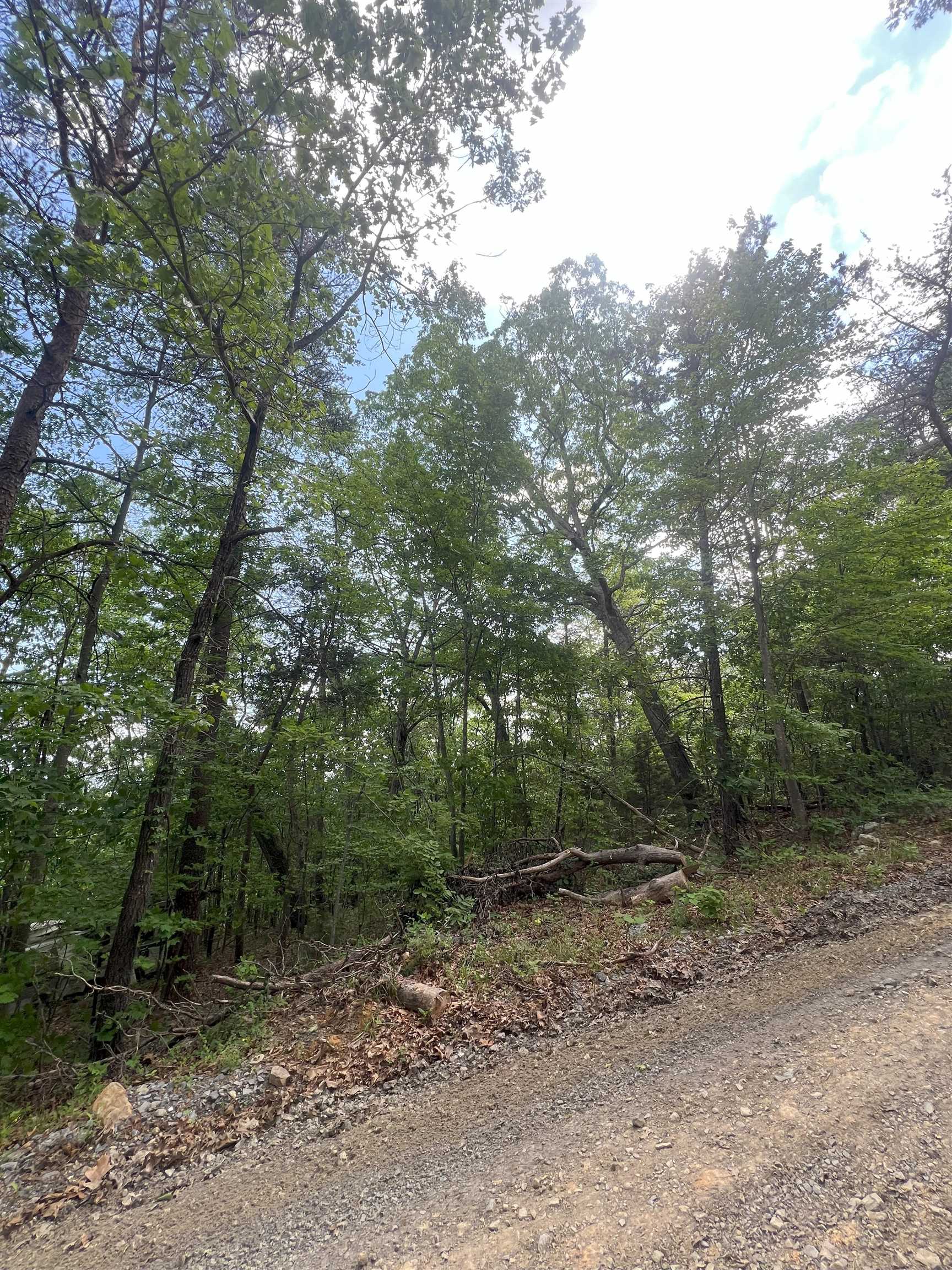 427 LONG VIEW DR, LURAY, Virginia 22835, ,Land,427 LONG VIEW DR,664061 MLS # 664061
