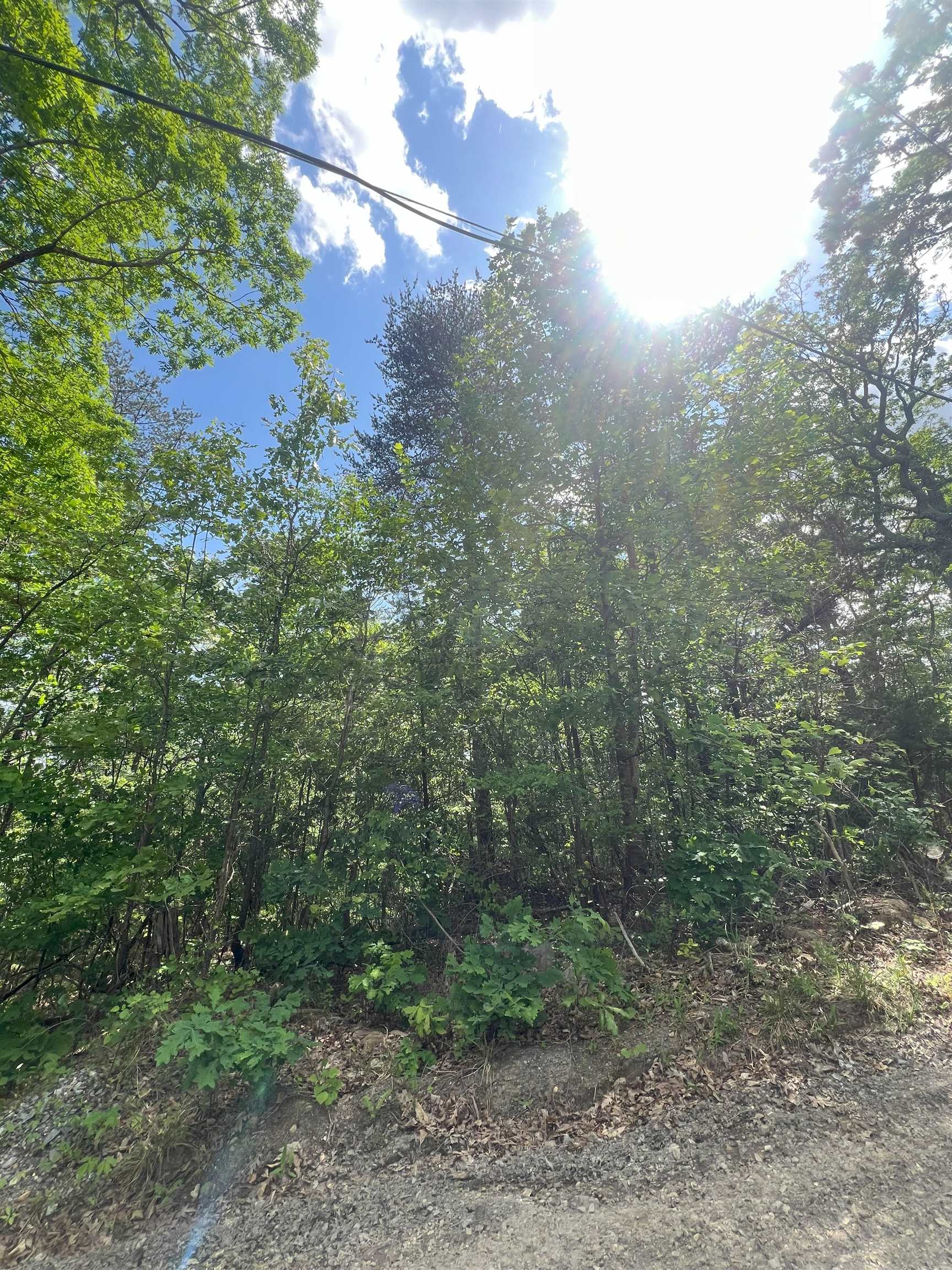 427 LONG VIEW DR, LURAY, Virginia 22835, ,Land,427 LONG VIEW DR,664061 MLS # 664061