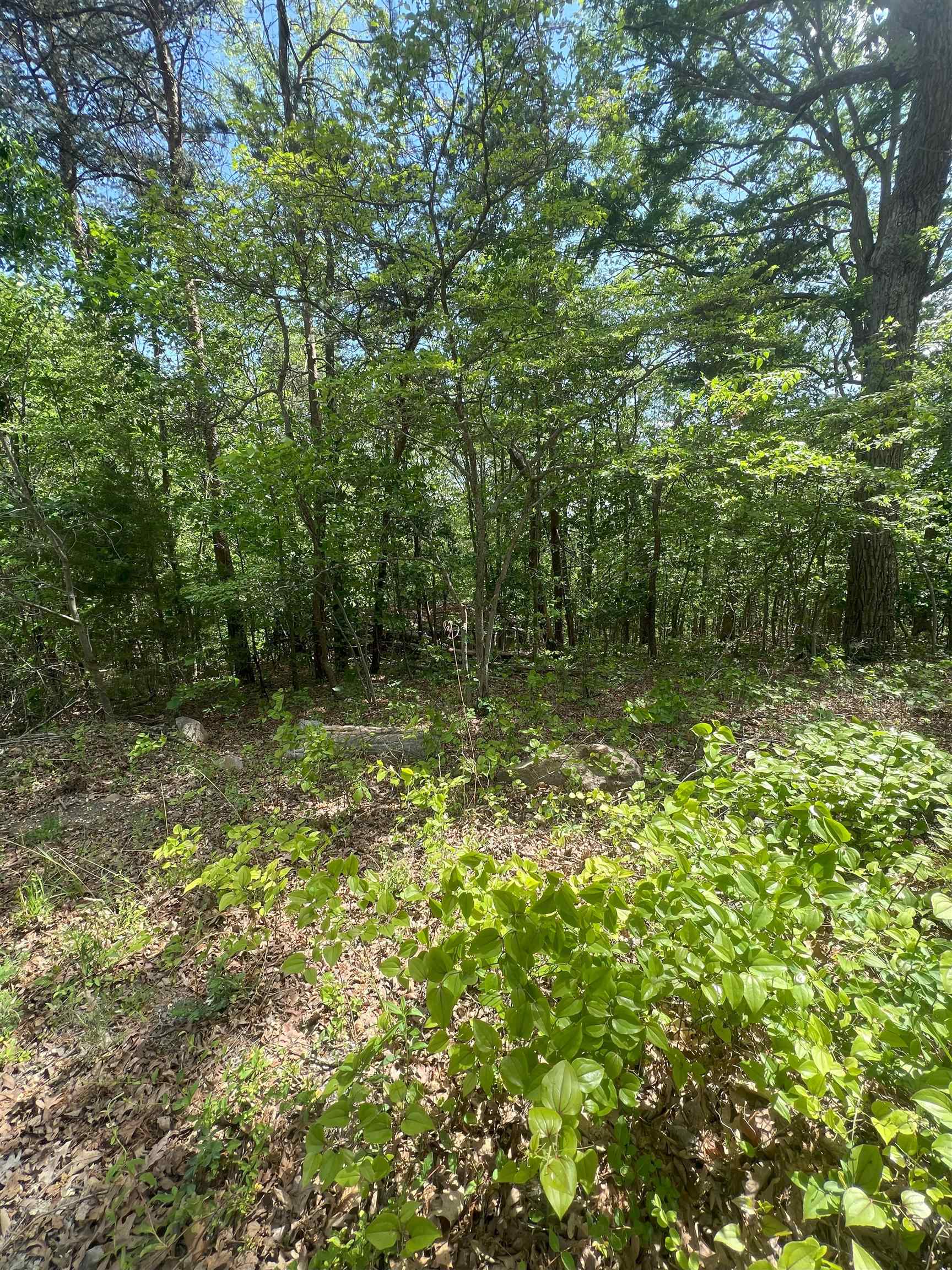 427 LONG VIEW DR, LURAY, Virginia 22835, ,Land,427 LONG VIEW DR,664061 MLS # 664061