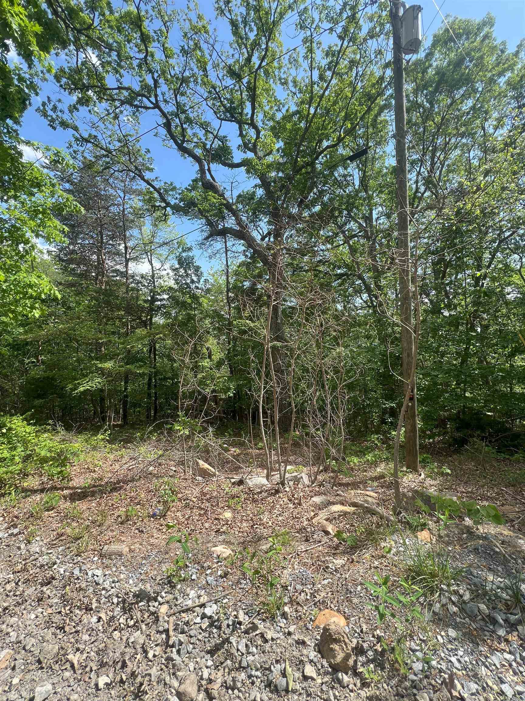 427 LONG VIEW DR, LURAY, Virginia 22835, ,Land,427 LONG VIEW DR,664061 MLS # 664061