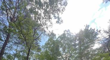 427 LONG VIEW DR, LURAY, Virginia 22835, ,Land,427 LONG VIEW DR,664061 MLS # 664061