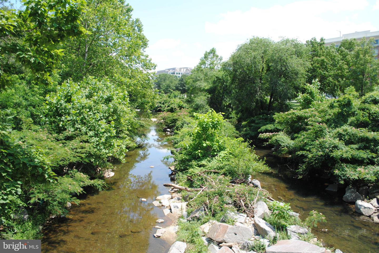 4600 S FOUR MILE RUN DR #720, ARLINGTON, Virginia 22204, 1 Bedroom Bedrooms, 1 Room Rooms,1 BathroomBathrooms,Residential,For sale,4600 S FOUR MILE RUN DR #720,VAAR2056104 MLS # VAAR2056104