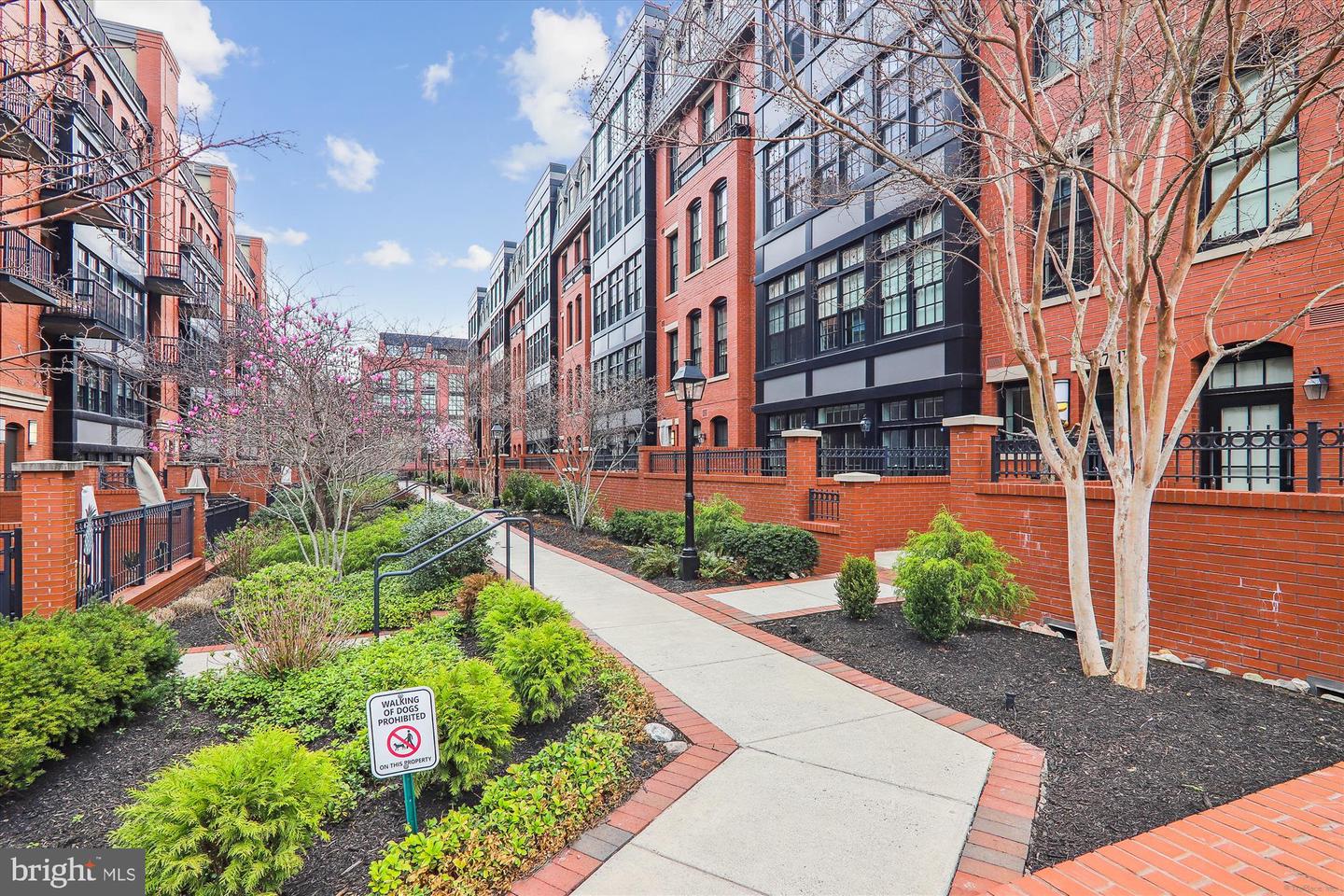 1701 16TH ST N #345-D, ARLINGTON, Virginia 22209, 2 Bedrooms Bedrooms, ,2 BathroomsBathrooms,Residential,For sale,1701 16TH ST N #345-D,VAAR2056782 MLS # VAAR2056782