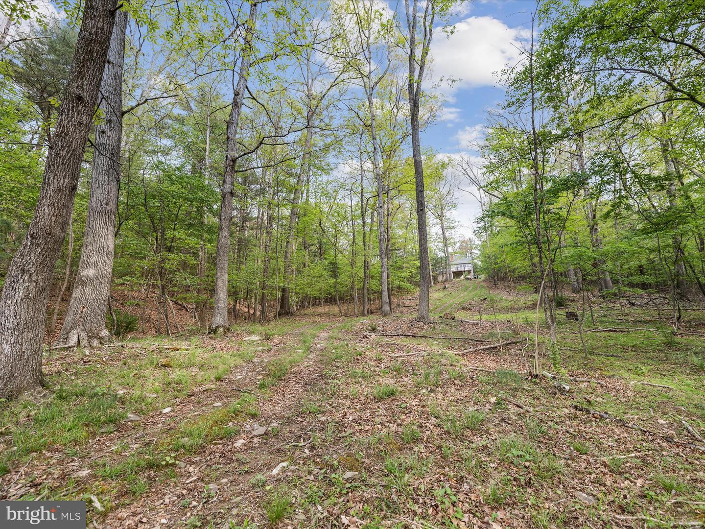 401 WHITHAM DR, GORE, Virginia 22637, 4 Bedrooms Bedrooms, ,3 BathroomsBathrooms,Residential,For sale,401 WHITHAM DR,VAFV2033874 MLS # VAFV2033874