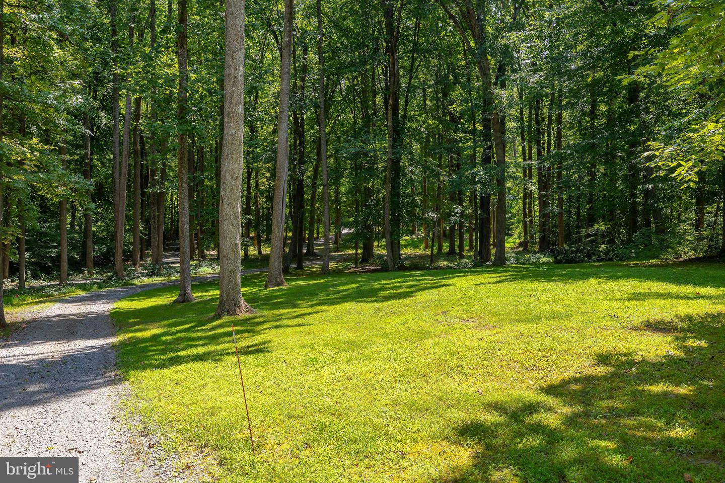 157 COOKE LN, BUMPASS, Virginia 23024, 3 Bedrooms Bedrooms, 12 Rooms Rooms,2 BathroomsBathrooms,Residential,For sale,157 COOKE LN,VALA2007788 MLS # VALA2007788