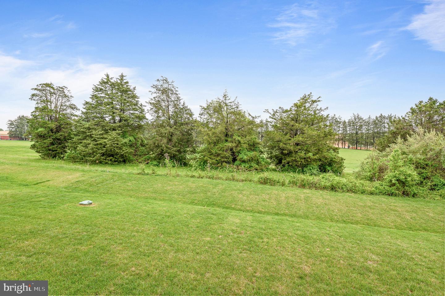 2449 NEWTON DR, JEFFERSONTON, Virginia 22724, 5 Bedrooms Bedrooms, ,3 BathroomsBathrooms,Residential,For sale,2449 NEWTON DR,VACU2010462 MLS # VACU2010462