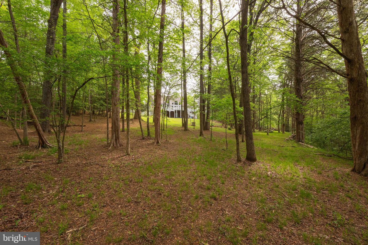 2975 ELIOCH MANOR DR, POWHATAN, Virginia 23139, 4 Bedrooms Bedrooms, 12 Rooms Rooms,4 BathroomsBathrooms,Residential,For sale,2975 ELIOCH MANOR DR,VAPN2000092 MLS # VAPN2000092