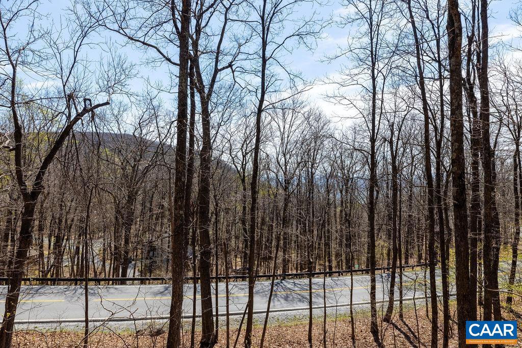 87 FIRTREE DR, WINTERGREEN, Virginia 22967, 4 Bedrooms Bedrooms, ,3 BathroomsBathrooms,Residential,For sale,87 FIRTREE DR,664054 MLS # 664054