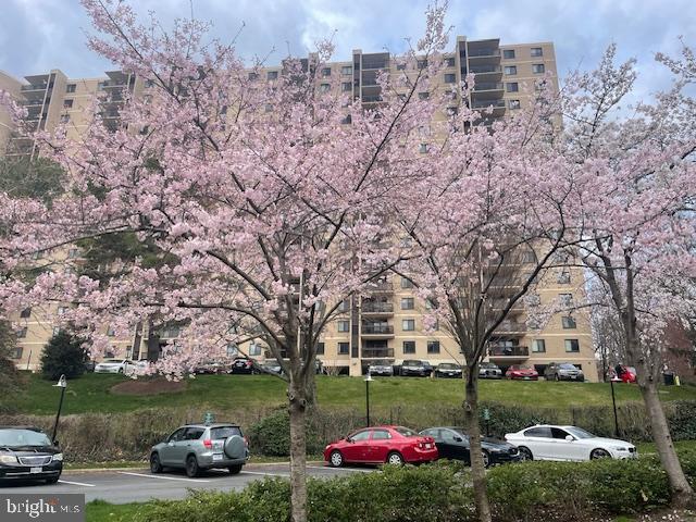 205 YOAKUM PKWY #1010, ALEXANDRIA, Virginia 22304, 2 Bedrooms Bedrooms, 5 Rooms Rooms,1 BathroomBathrooms,Residential,For sale,205 YOAKUM PKWY #1010,VAAX2044936 MLS # VAAX2044936