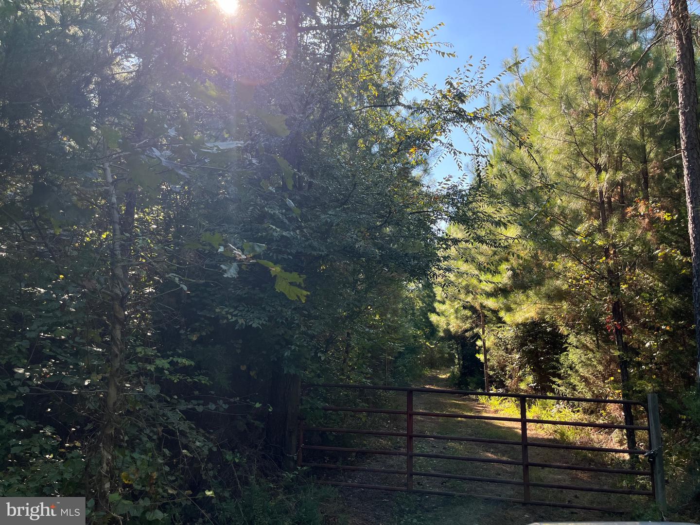 1 TBD RICEVILLE RD, GRETNA, Virginia 24557, ,Land,For sale,1 TBD RICEVILLE RD,VAPI2000086 MLS # VAPI2000086